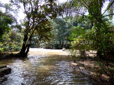 The Yala River In Silent Mode