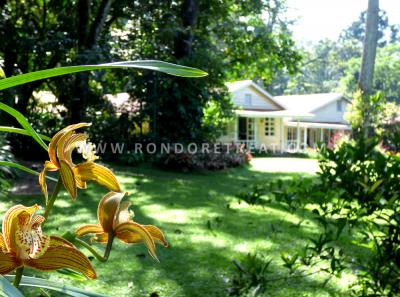 Beautiful Orchids in Rondos Garden